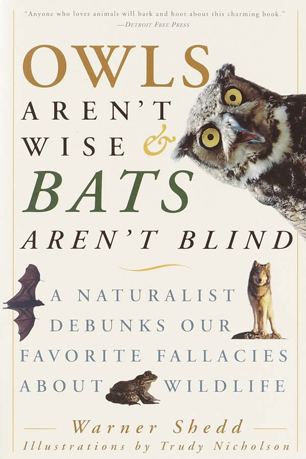 Cover of Owls Aren't Wise & Bats Aren't Blind with a an image of an owl and title text