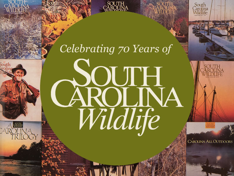 Graphic for Wildlife Magazine 70th Anniversary with Joey Frazier & Cindy Thompson