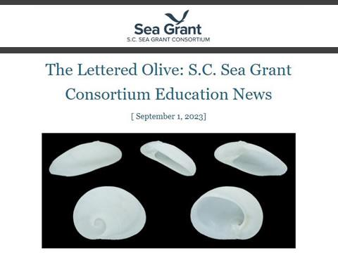 Cover of The Lettered Olive: S.C. Sea Grant Consortium Education News