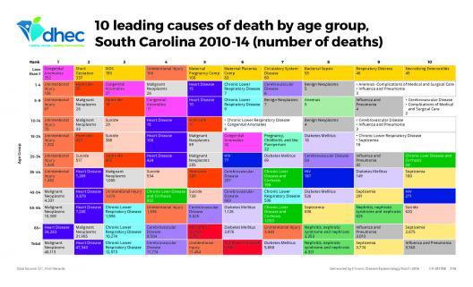 DHEC_10_Leading_causes_of_death_by_age_group_SC