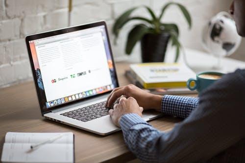 This image shows a person sitting at a desk, looking at a laptop computer. Only the person's arms are visible. There is a plant sitting on the top, right corner of the desk.
