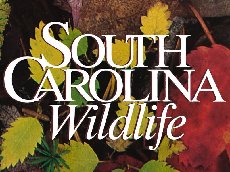 South Carolina Wildlife logo over background of fall leaves.