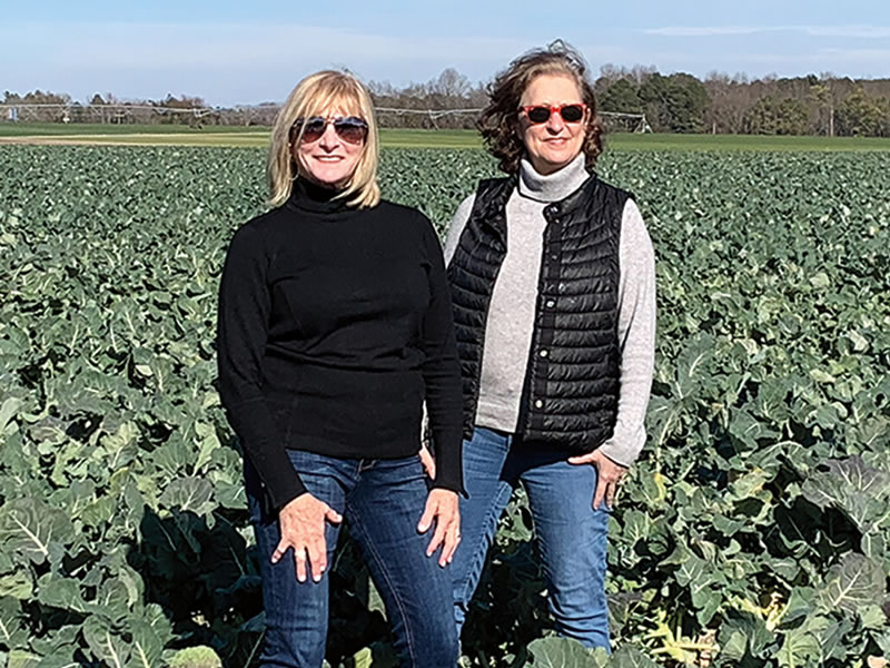 Rachel Gordin Barnett and Lyssa Kligman Harvey in a field of collards