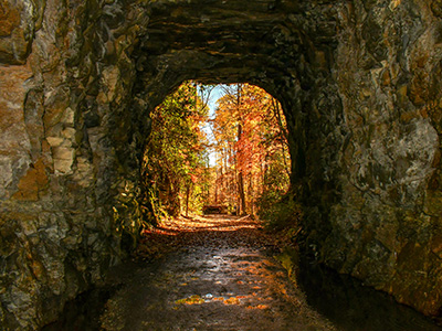 Stumphouse cave