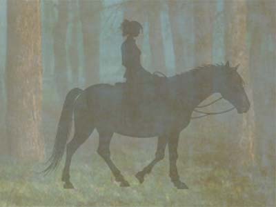 Silhouette of Jane Thomas on horseback.