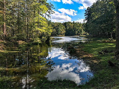 Lake surrounded by woods, Kings Mountain State Park.