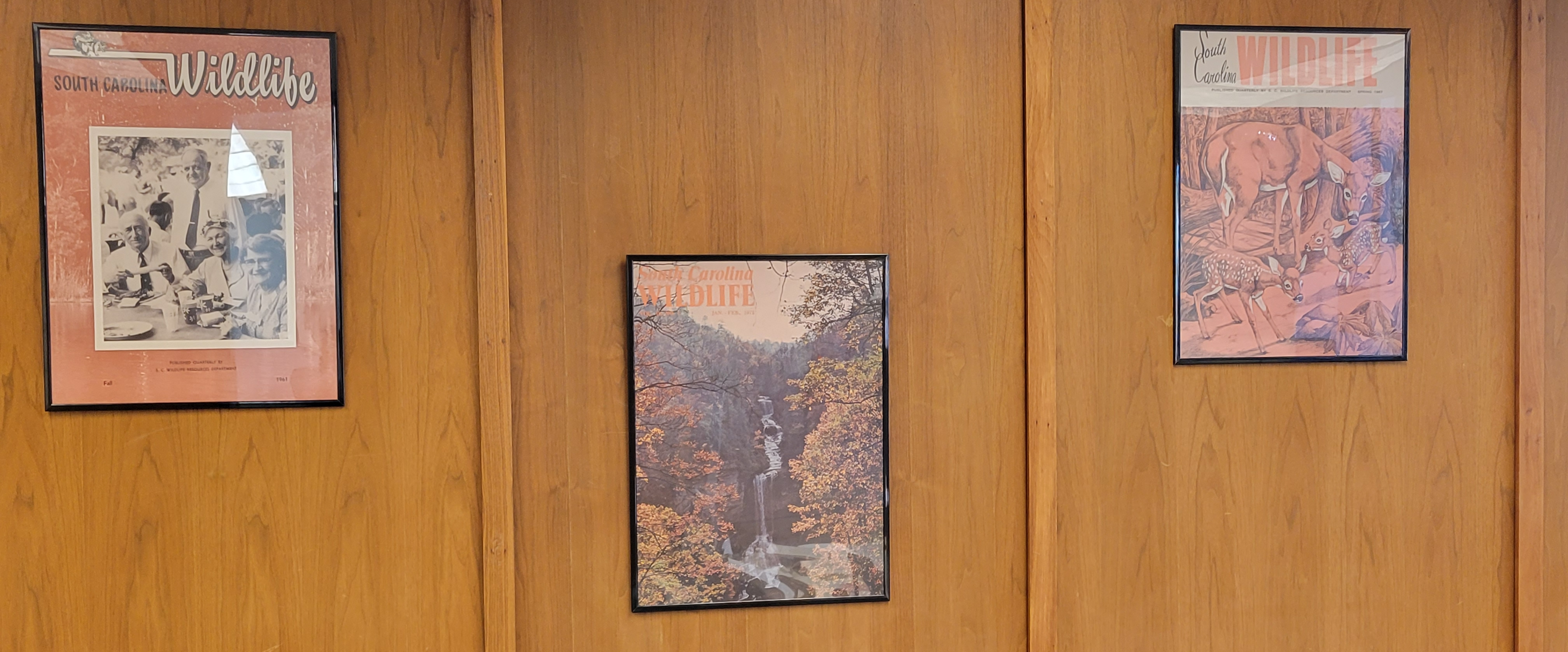 Framed covers of South Carolina Wildlife Magazine on the State Library wall.