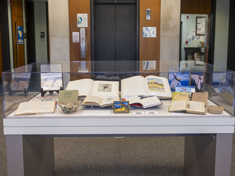 February's Display Case in the library lobby