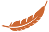 Illustration of a brown feather.
