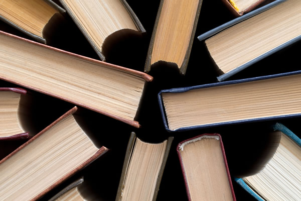 Photo of books show from above showing their spines.