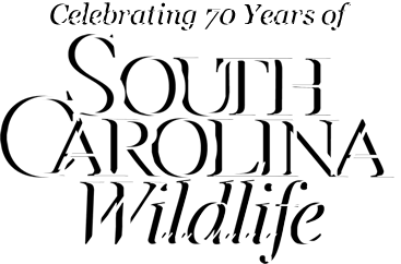 SC Wildlife Magazine logo