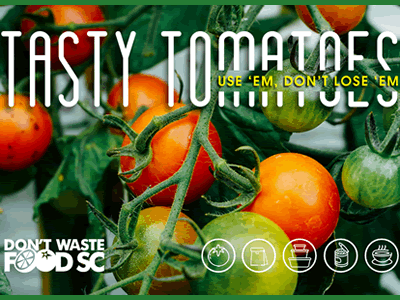 Cover of Tasty Tomatoes state document with images of tomatoes.