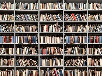 A large selection of library books on shelves.
