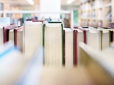Library books seen from inside the library shelf.