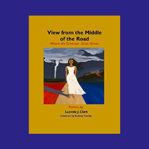 View from the Middle of the Road: Where the Greenest Grass Grows book cover