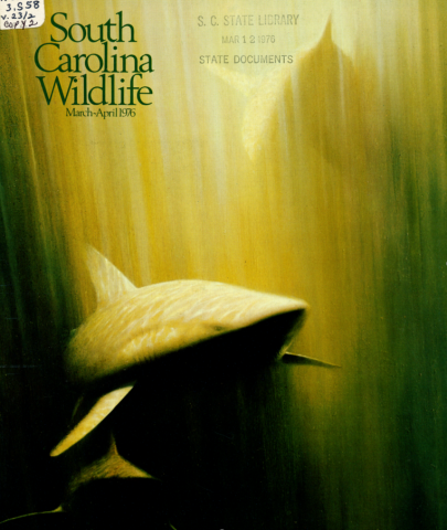 The cover of the South Carolina Wildlife magazine shows a shark swimming through the ocean. 
