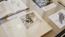 Art & Natural History in South Carolina