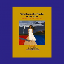 View from the Middle of the Road: Where the Greenest Grass Grows book cover