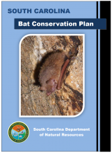 cover image of the South Carolina Bat Conservation Plan