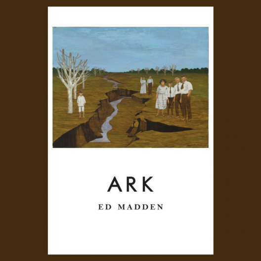 book cover of Ark by Ed Madden