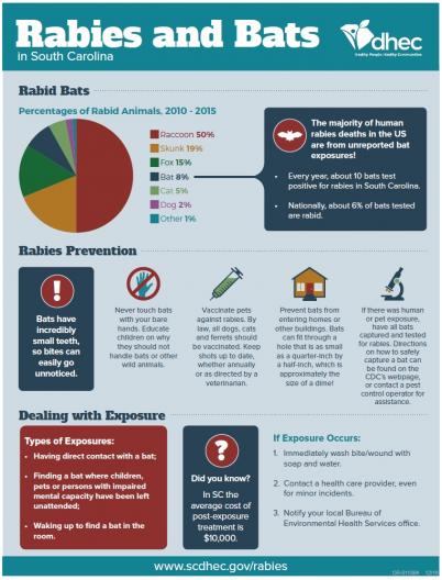 rabies and bats document