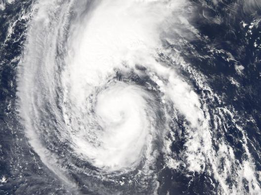 hurricane florence